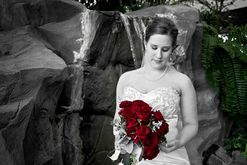 Woodbury Central Park Wedding